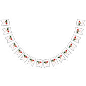 Cinqo de Mayo Vlaggetjes (Alle)