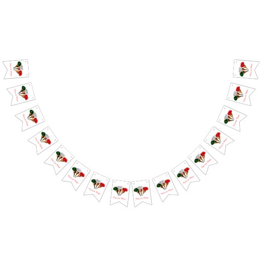 Cinqo de Mayo Vlaggetjes (Alle)