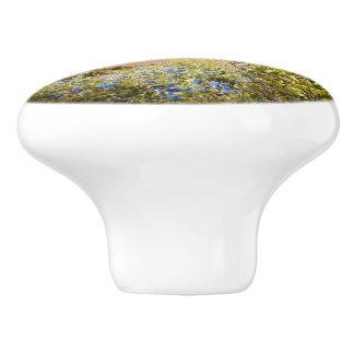 Cinque Terre Knob for Travellers  Keramische Knop
