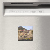 Cinque Terre magneet (Insitu (Vaatwasser))