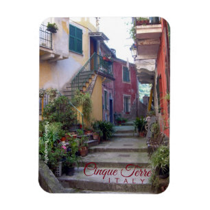 Cinque Terre (Monterosso Street) Magneet