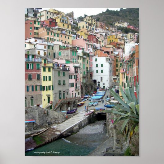 Cinque Terre (Riomaggiore Harbour) Poster (Voorkant)