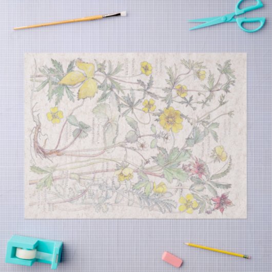  Cinquefoil Wilde bloemenpapier Tissuepapier (Craft)