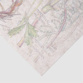  Cinquefoil Wilde bloemenpapier Tissuepapier (Detail)