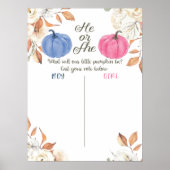 Cinsiyet Açıklama Pembe ve Lacivert Oy Verme Panos Poster (Voorkant)