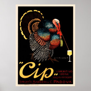 CIP: PERFECT APERITIF Italiaanse  alcohol Poster