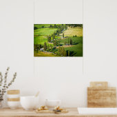 Cipres omzoomde kronkelende weg in Toscane Poster (Keuken)