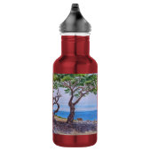 Cipresbomen in Pacific Grove Waterfles (Rechts)