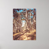 cipresbos canvas afdruk (Voorkant)