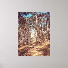 cipresbos canvas afdruk