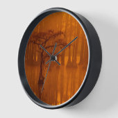 Cipressen | George Smith State Park (Hoek)