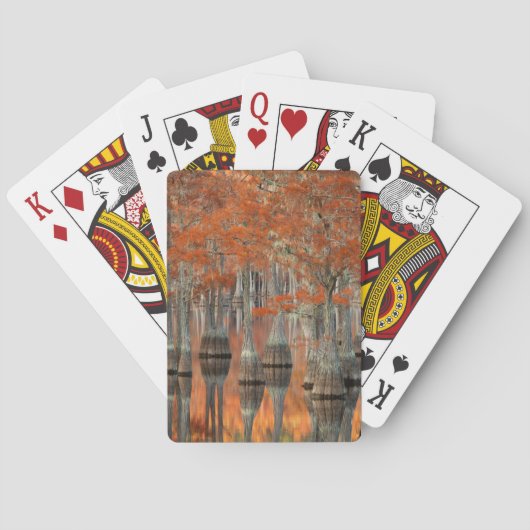 Cipressen | George Smith State Park, Georgia Pokerkaarten (Achterkant)