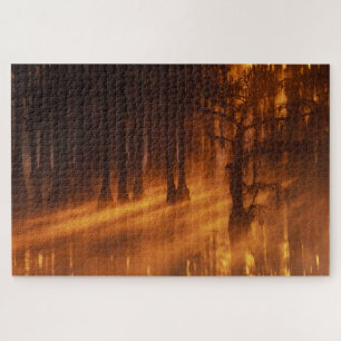 Cipressen   George Smith State Park Legpuzzel