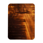 Cipressen | George Smith State Park Magneet (Verticaal)