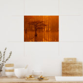 Cipressen | George Smith State Park Poster (Keuken)