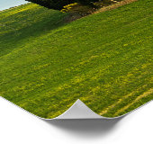 Cipressen in Toscane verticale poster (Hoek)