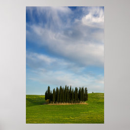 Cipressen in Toscane verticale poster