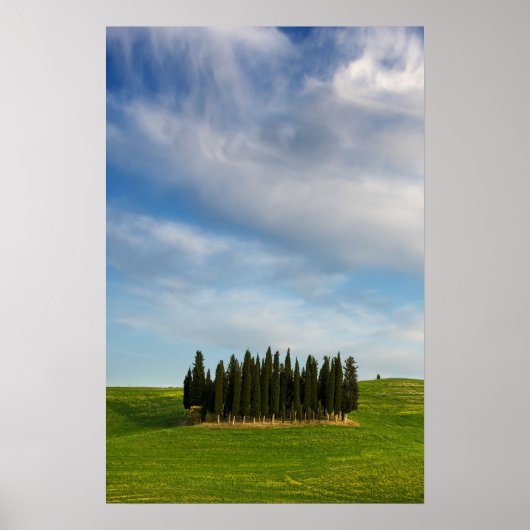 Cipressen in Toscane verticale poster (Voorkant)