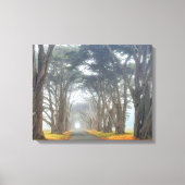 cipresstunnel canvas afdruk (Voorkant)