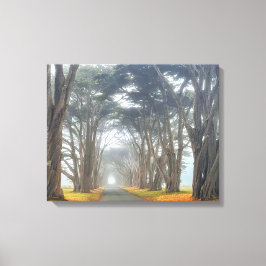 cipresstunnel canvas afdruk