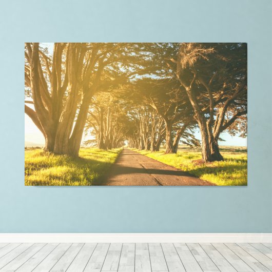 cipresstunnel canvas afdruk (Insitu (Houten vloer))