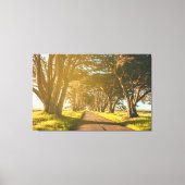 cipresstunnel canvas afdruk (Voorkant)