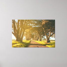 cipresstunnel canvas afdruk