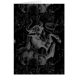 Circa 1690 van Hevelius van de Constellatie van