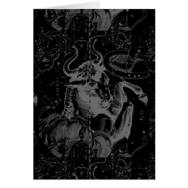 Circa 1690 van Hevelius van de Constellatie van (Voorkant)