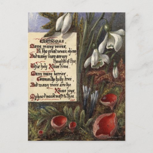 Circa 1890: Snowdruppels Briefkaart (Voorkant)