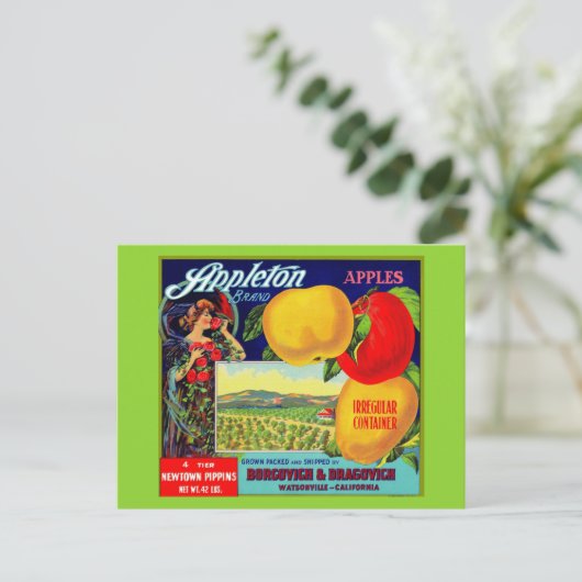 circa 1900 Appleton Apples Briefkaart (Staand voorkant)