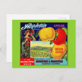 circa 1900 Appleton Apples Briefkaart (Voorkant / Achterkant)