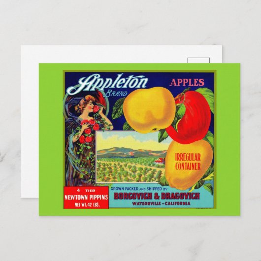 circa 1900 Appleton Apples Briefkaart (Voorkant / Achterkant)