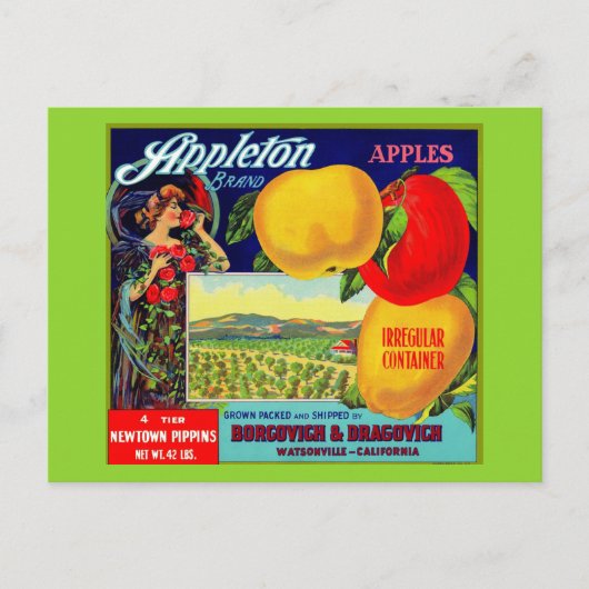 circa 1900 Appleton Apples Briefkaart (Voorkant)
