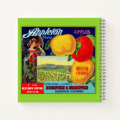 circa 1900 Appleton Apples Notitieboek (Achterkant)