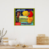 circa 1900 Appleton Apples Poster (Keuken)