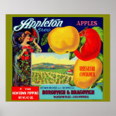 circa 1900 Appleton Apples Poster (Voorkant)