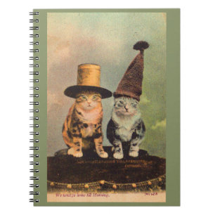 circa 1900 katten in petten RPPC Notitieboek