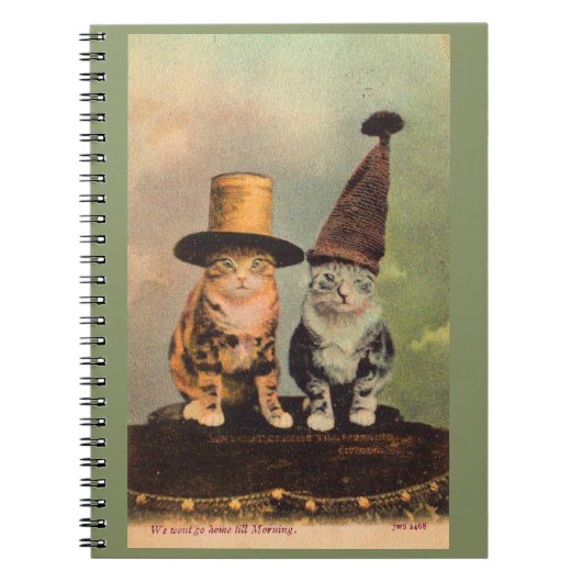 circa 1900 katten in petten RPPC Notitieboek (Voorkant)