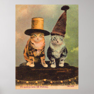 circa 1900 katten in petten RPPC Poster