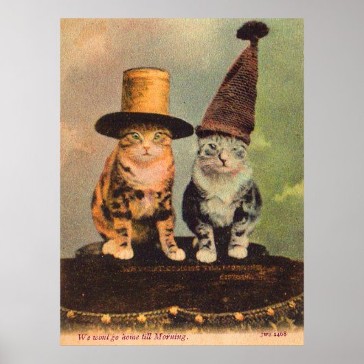circa 1900 katten in petten RPPC Poster (Voorkant)