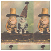 circa 1900 katten in petten RPPC Stof (Close Up)