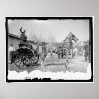 Circa 1911 Paardenfotografie