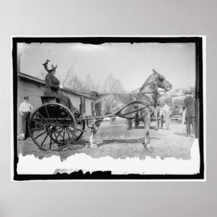 Circa 1911 Paardenfotografie Poster