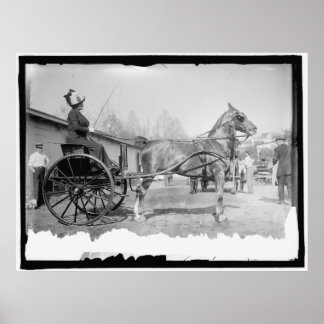 Circa 1911 Paardenfotografie Poster