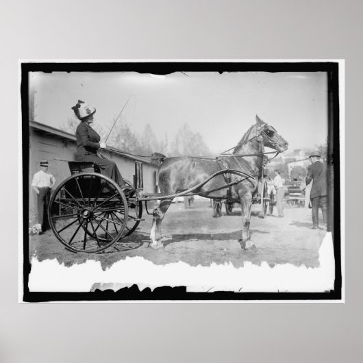 Circa 1911 Paardenfotografie Poster (Voorkant)