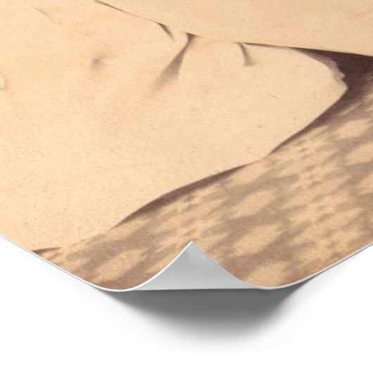 circa 1914 afgestudeerden in de verpleegkunde poster (Hoek)