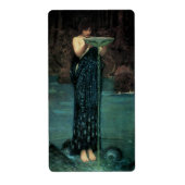 Circe Invidiosa door John William Waterhouse Etiket (Voorkant)