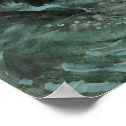 Circe Invidiosa Poster (Hoek)