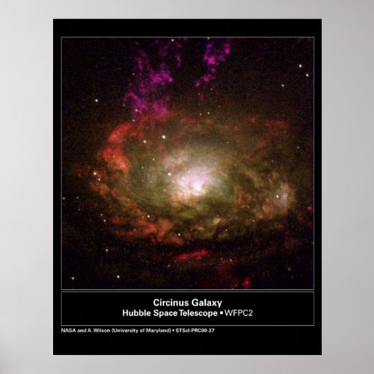 Circinus Galaxy Hubble Telescope Poster (Voorkant)